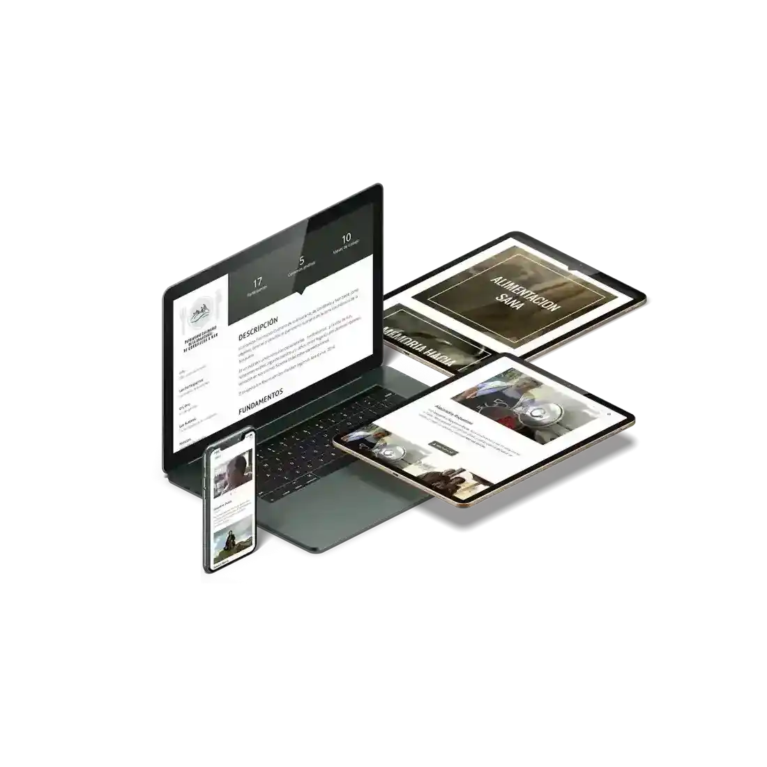 Several views of website shown on desktop, mobile and tablet.